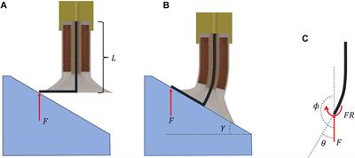 A bioinspired stiffness tunable sucker for passive adaptation and firm attachment to angular substrates